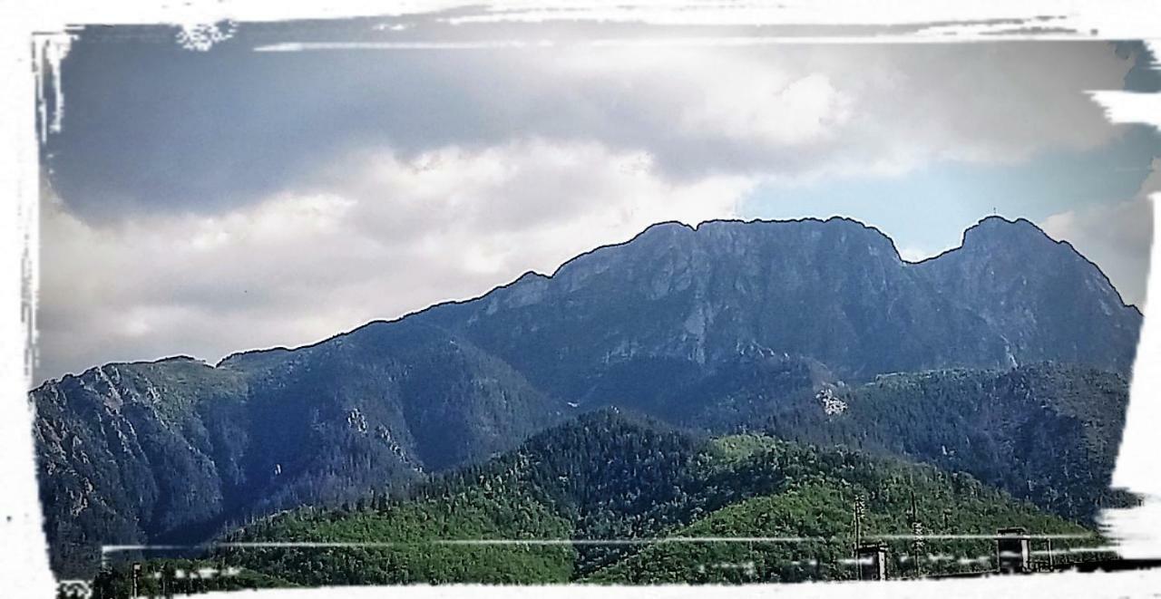 Pokoje W Centrum "Cicha" Zakopane Eksteriør bilde
